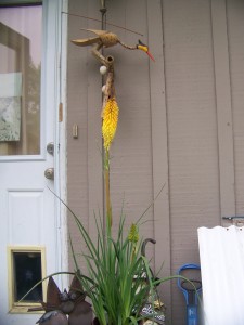 Back door wind chime and foliage