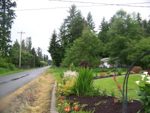 Front yard looking north from our driveway