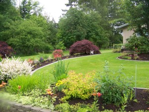 Front yard looking east from roadway