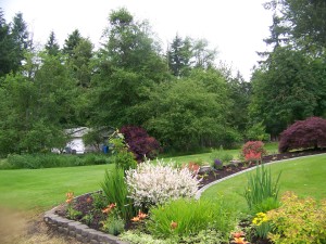 Front yard looking approx. northeast from roadway