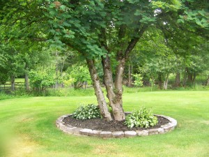 Garden space in "unincorporated" side yard/field