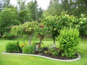 Back yard centerpiece garden space