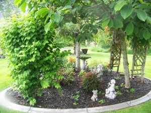 Another view of back yard centerpiece garden space