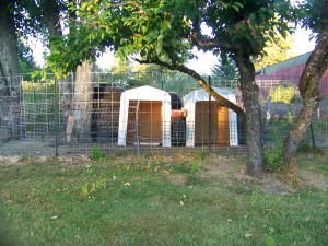 New Goat Sheds -- They LOVE Them!