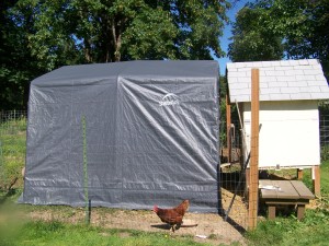 New Extended Chicken House June 7 2015