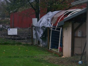 New Tarp Torn off Goat Shed