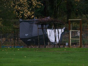 Upside Down Chicken Shed