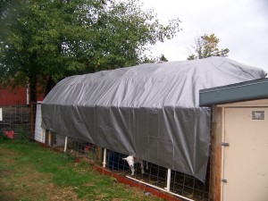 Winterized Goat Shed